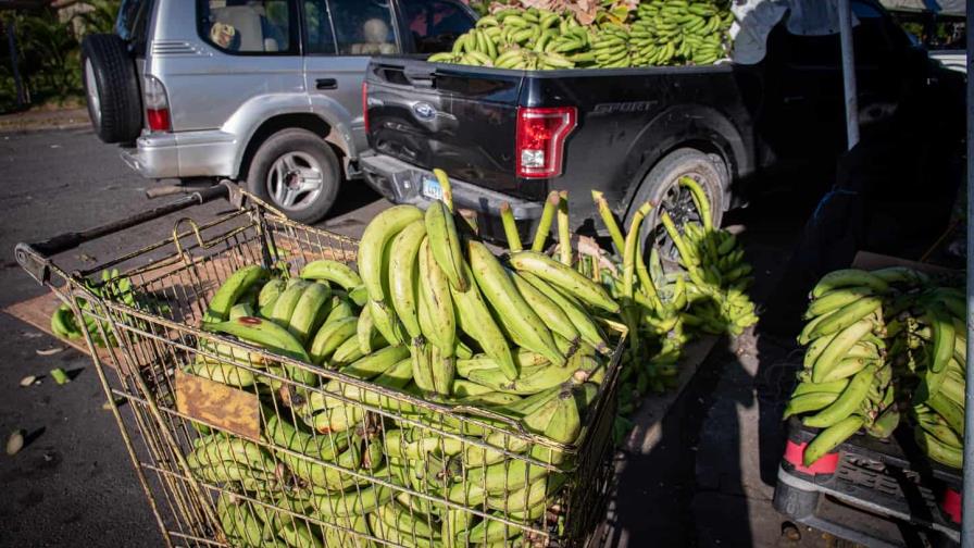 En un año el precio del plátano aumenta más de un 80 %