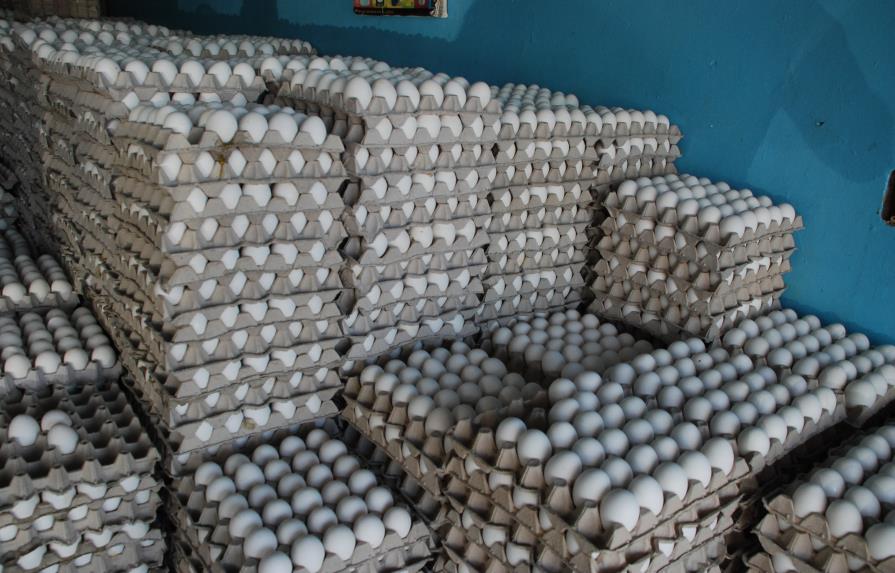 Advierten prohibición de exportar huevos hacia Haití crearía sobreoferta y deprimiría precios del productor
