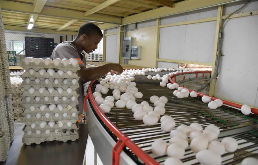 Productores advierten que contrabando de huevos continuará pese a prohibición