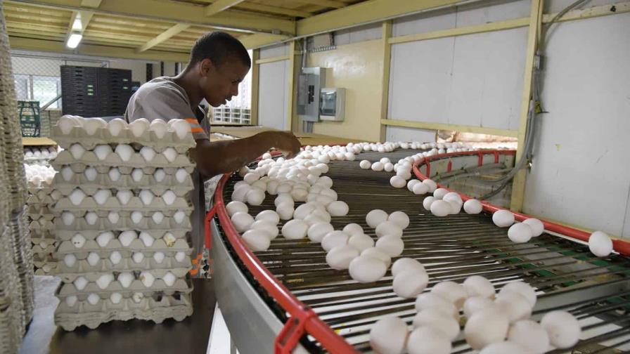 Productores advierten que contrabando de huevos continuará pese a prohibición