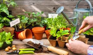 Beneficios de tener un huerto en casa