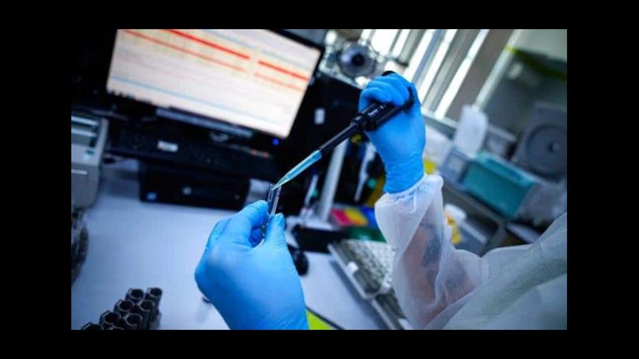 Investigadores identifican 26 compuestos naturales que bloquean la COVID-19