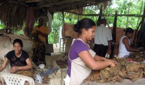 RD entre países que impulsaron exportaciones regionales en 2022