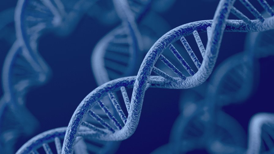 Analizan qué genes hacen que cada persona sea única y diferente