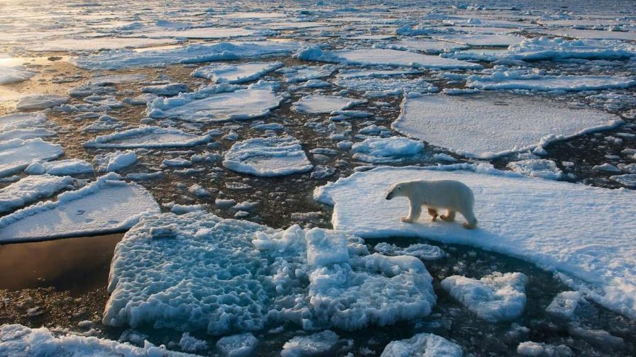 La Tierra sigue calentándose peligrosamente: 2022 fue el sexto año más cálido