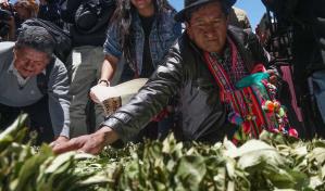 Bolivia busca la desclasificación de la hoja de coca de la lista como estupefaciente