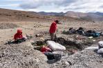 Especies de dinosaurios de 10 metros dominaron Patagonia chilena hace 70 millones de años Especies de dinosaurios de 10 metros dominaron Patagonia chilena hace 70 millones de años