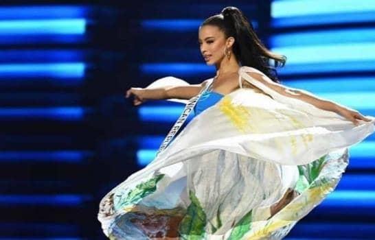 La inspiración de Elsa Núñez para pintar la capa que llevó Andreína Martínez en Miss Universo