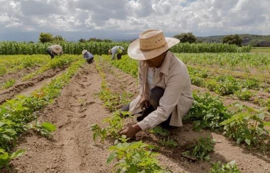 La falta de mano de obra es el mayor desafío para los agricultores de EEUU