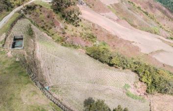 ¿Cuándo prevé Medio Ambiente el cese total de actividades agrícolas en Valle Nuevo?