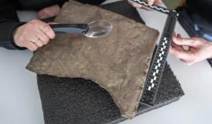 La piedra rúnica más antigua del mundo descubierta en Noruega