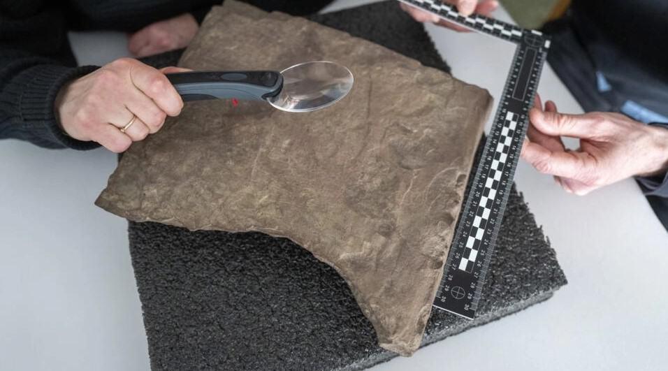 La piedra rúnica más antigua del mundo descubierta en Noruega
