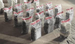 Guardia Costera de EEUU entrega 250 kilos de cocaína y tres contrabandistas a RD