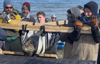 Hallan cráneo fósil de ballena de 12 millones de años en costa este de EEUU