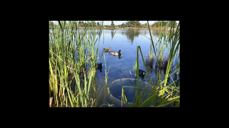 Tormentas en California traen daños, pero también... agua