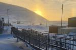 Oso polar que mató a una madre y a su bebé en Alaska salió de entre la borrasca Oso polar que mató a una madre y a su bebé en Alaska salió de entre la borrasca