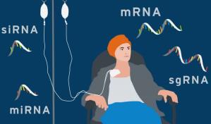 ¿Cómo pueden ayudar las vacunas de ARNm en la lucha contra enfermedades?