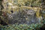 Lixiviados: serios contaminantes de Duquesa que matan al río Isabela Lixiviados: serios contaminantes de Duquesa que matan al río Isabela