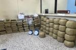 Ocupan más de 500 libras de marihuana en Santiago