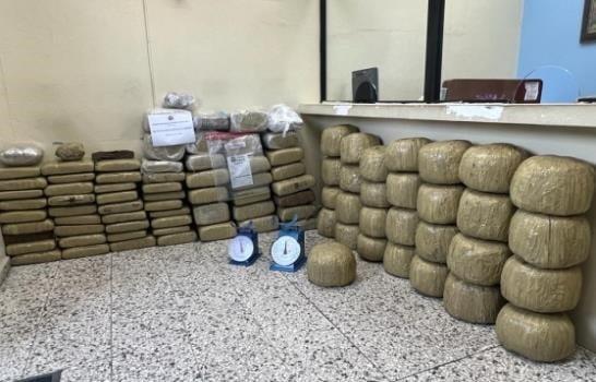 Ocupan más de 500 libras de marihuana en Santiago