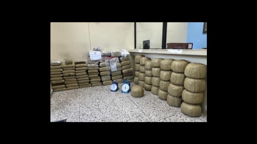 Ocupan más de 500 libras de marihuana en Santiago