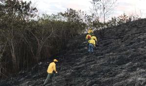 Se registra incendio forestal en inmediaciones de la Circunvalaci&oacute;n Santo Domingo