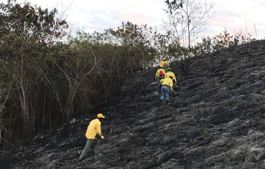 Se registra incendio forestal en inmediaciones de la Circunvalación Santo Domingo