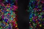 Científicas prueban terapia ultrasónica para combatir el cáncer de páncreas Científicas prueban terapia ultrasónica para combatir el cáncer de páncreas
