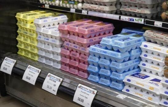 Con el grito al cielo: el precio de los huevos aumenta un 100 % en EE.UU.