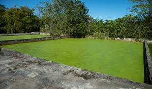 Plantas de tratamiento de Villa Liberaci&oacute;n son focos de contaminaci&oacute;n