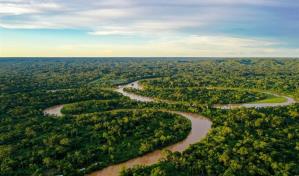 Los humanos hemos degradado más de un tercio de los bosques del Amazonas