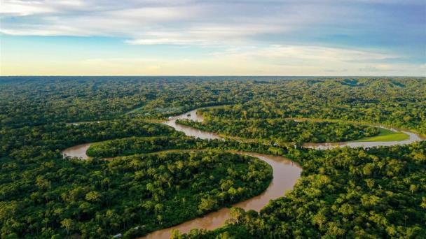 Los humanos hemos degradado más de un tercio de los bosques del Amazonas