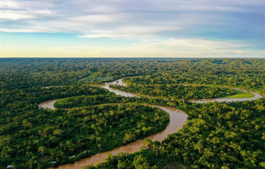Los humanos hemos degradado más de un tercio de los bosques del Amazonas