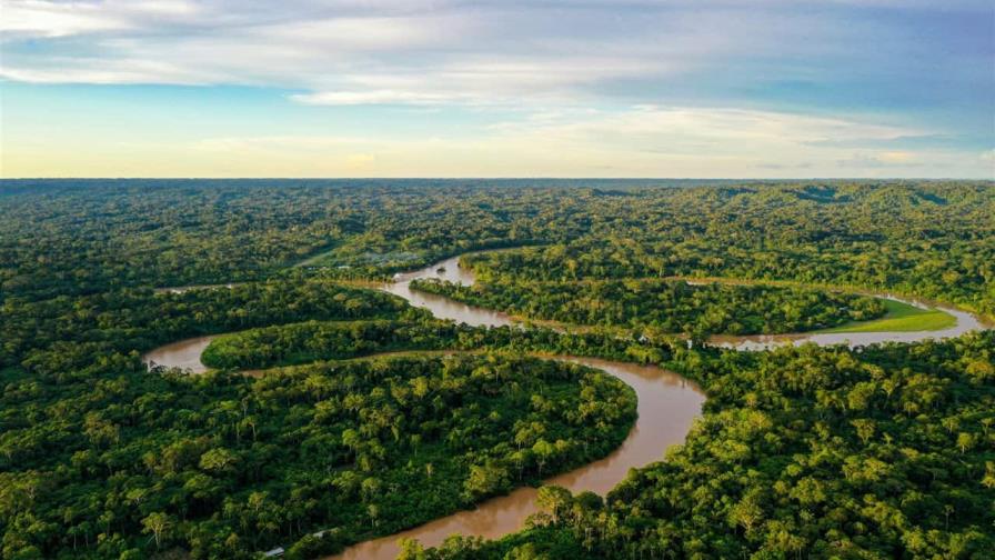 Los humanos hemos degradado más de un tercio de los bosques del Amazonas