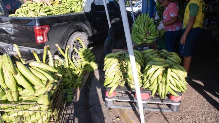 Decreto | Abinader crea comisión para impulsar la producción del plátano