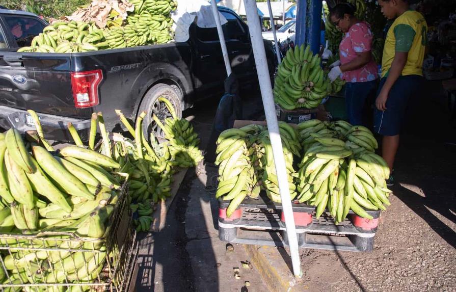 El precio del plátano disminuiría a partir de febrero