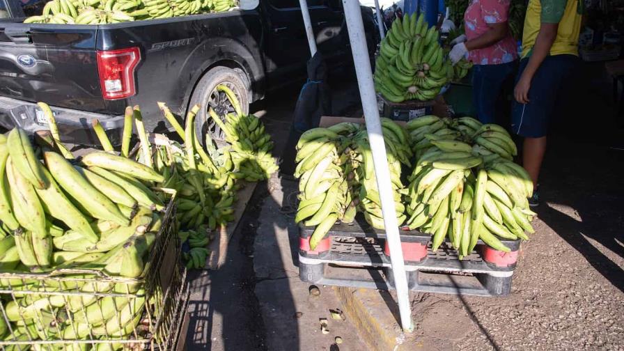 El precio del plátano disminuiría a partir de febrero