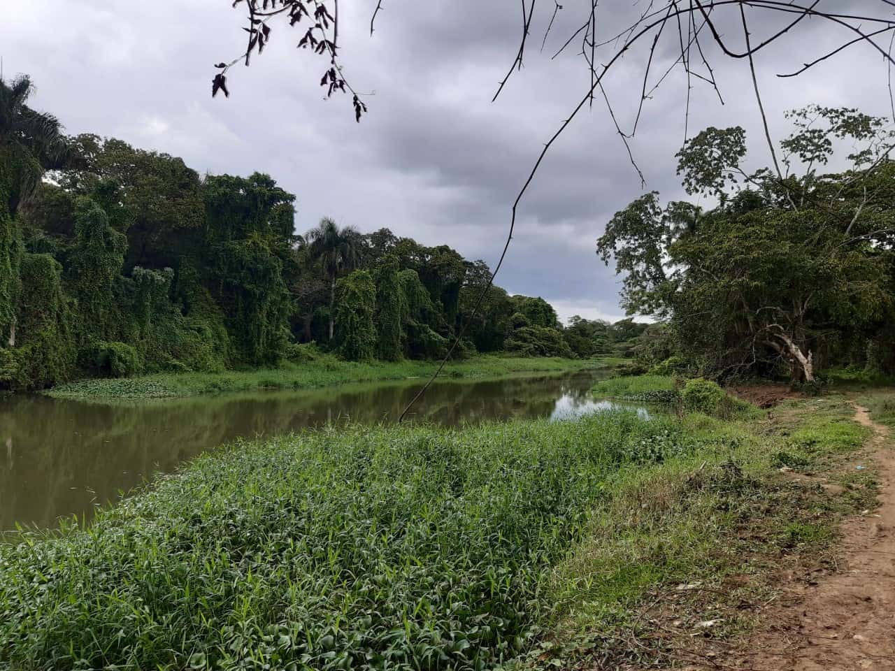 Río Ozama en su trayecto por Villa Liberación