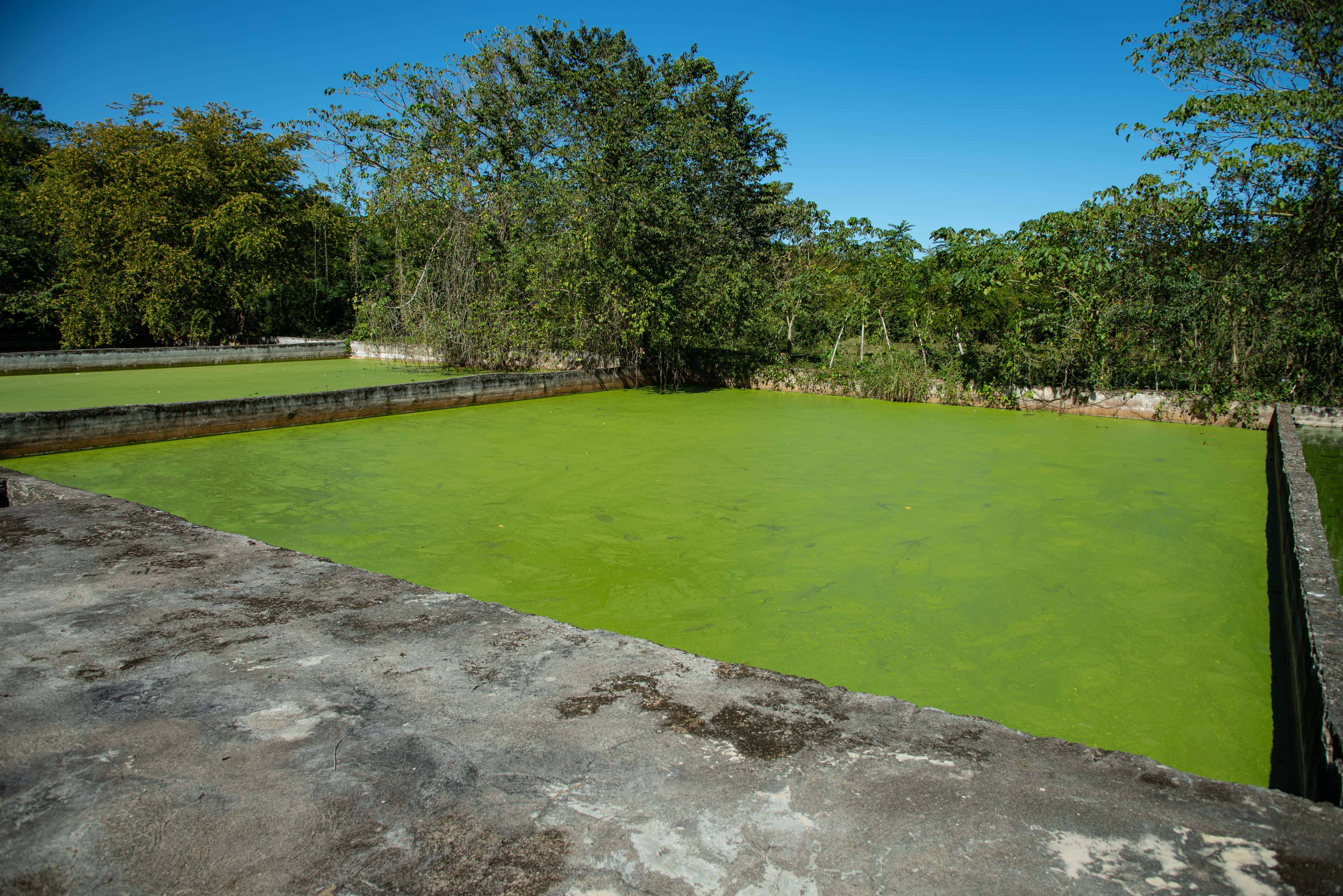 Planta del barrio El Manguito, Villa Liberación.