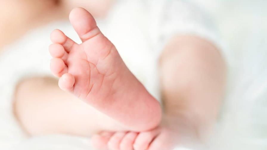 Una recién nacida abandonada en un bosque de Florida se salva de morir