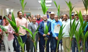 FEDA inicia plan de relanzamiento del sector coco en la República Dominicana