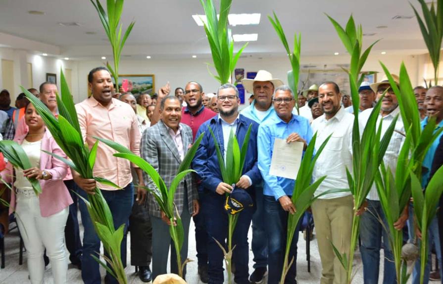 FEDA inicia plan de relanzamiento del sector coco en la República Dominicana