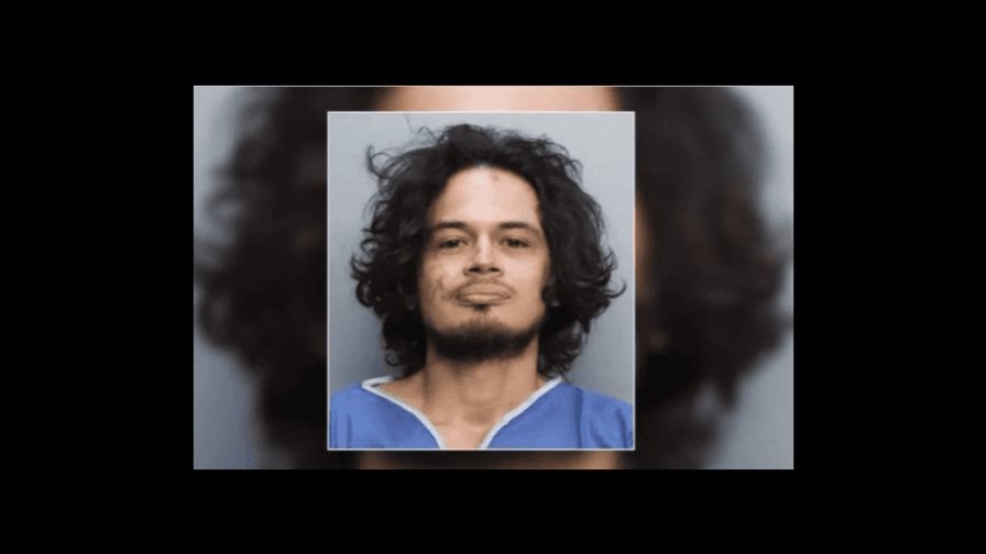 Detienen a un hombre en Miami por decapitar de un mordisco a una serpiente