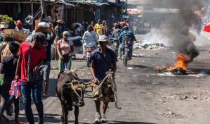 Cruz Roja alerta de profundas necesidades de más de tres millones de haitianos
