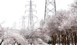 Texas: Miles sin calefacción y al menos 10 muertos durante tormenta invernal