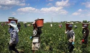 Alientan a indocumentados víctimas de abuso laboral a acogerse a protección