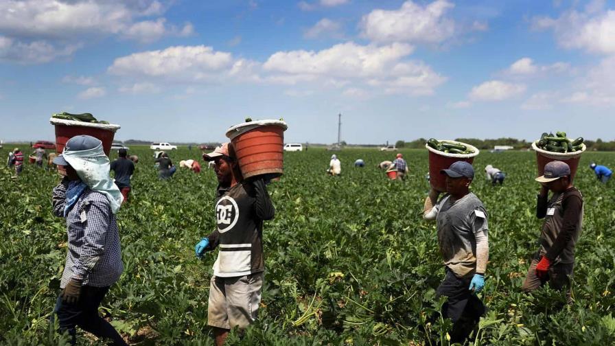 Alientan a indocumentados víctimas de abuso laboral a acogerse a protección Alientan a indocumentados víctimas de abuso laboral a acogerse a protección