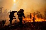 Asciende a siete el número de muertos en virulentos incendios de Chile