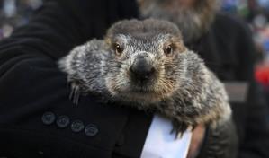 El mal tiempo se prolongará seis semanas más, predice la marmota Phil en EEUU