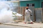 El 2022 finalizó con más de 10 mil casos de dengue y 39 muertes asociadas a la enfermedad